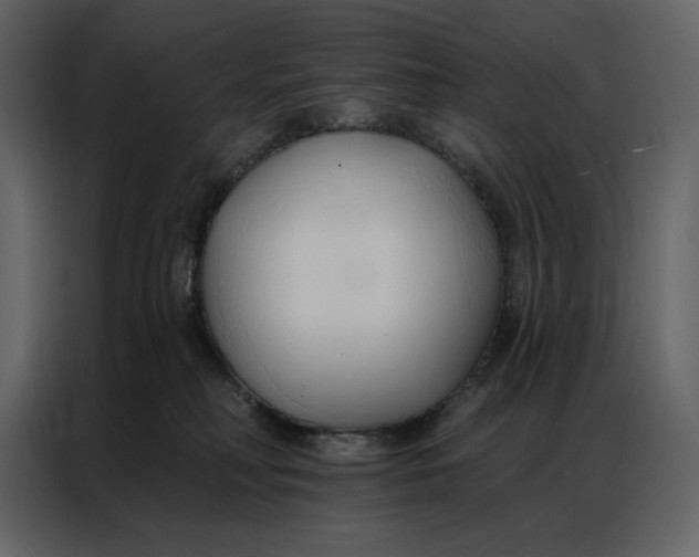 X0000086900230200705071250