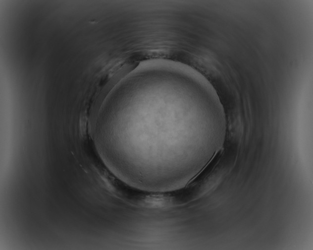 X0000086900231200705071250