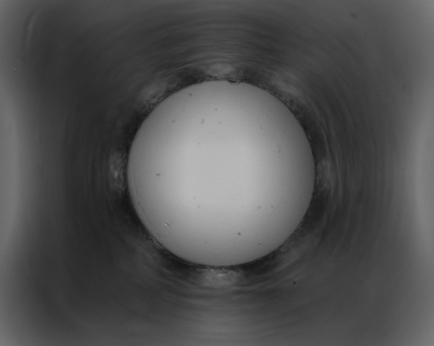 X0000086900234200705071250