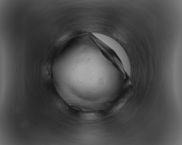 X0000086900237200705071250