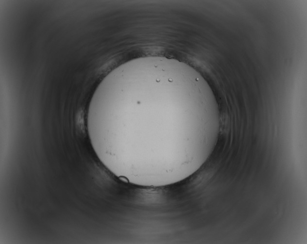 X0000086900238200705071250