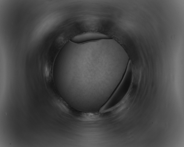 X0000086900239200705071250