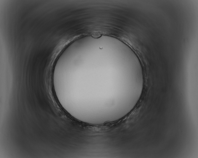 X0000086900241200705071249