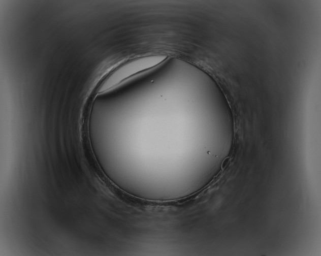 X0000086900242200705071249