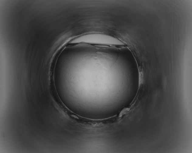 X0000086900243200705071249