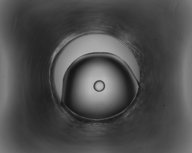 X0000086900244200705071249