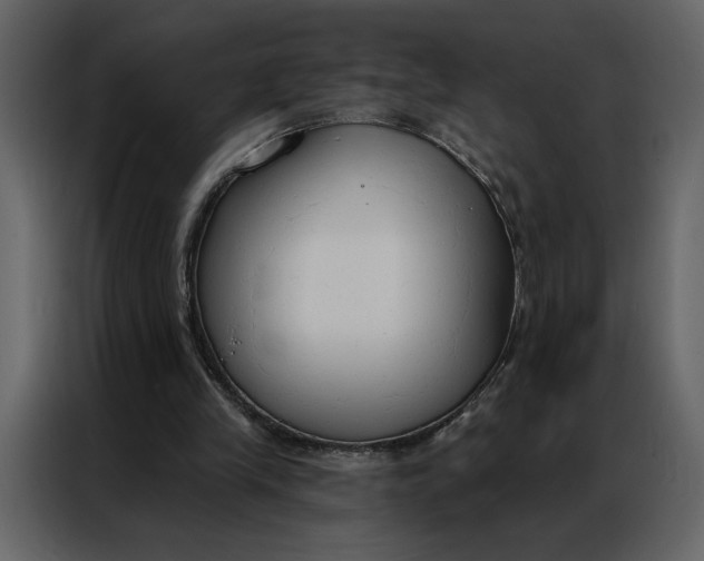 X0000086900245200705071249