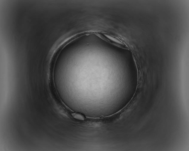 X0000086900247200705071249