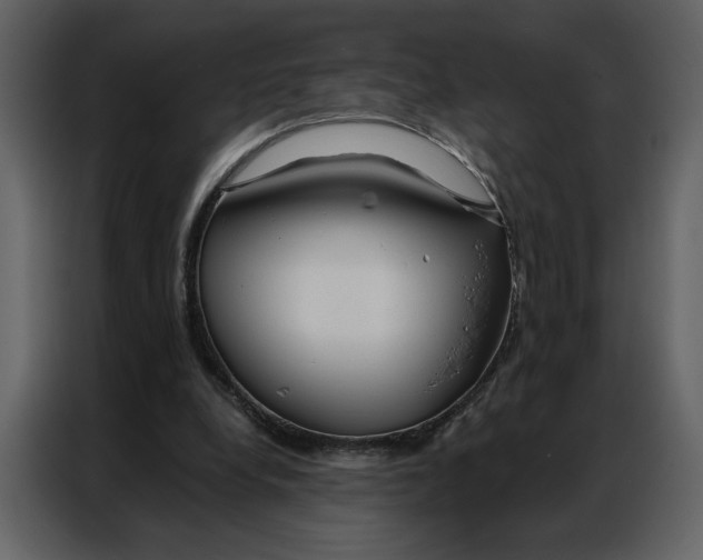 X0000086900248200705071249