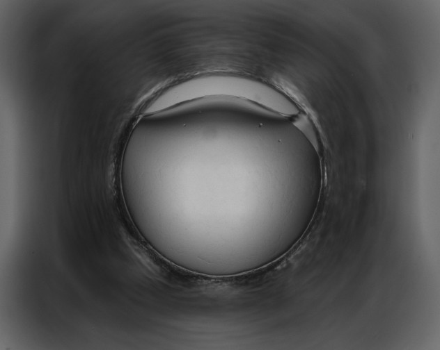 X0000086900249200705071249