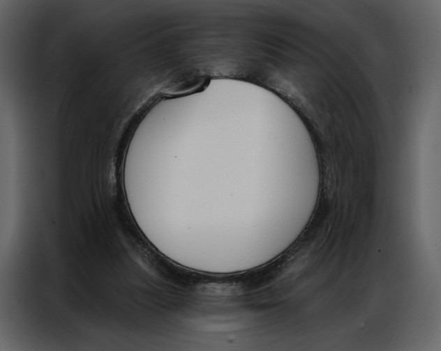 X0000086900251200705071249