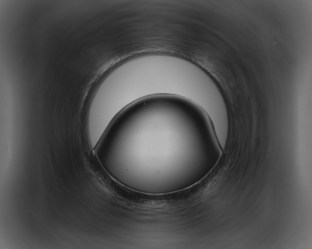 X0000086900252200705071249