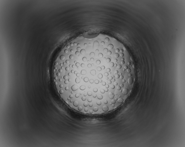 X0000086900254200705071249
