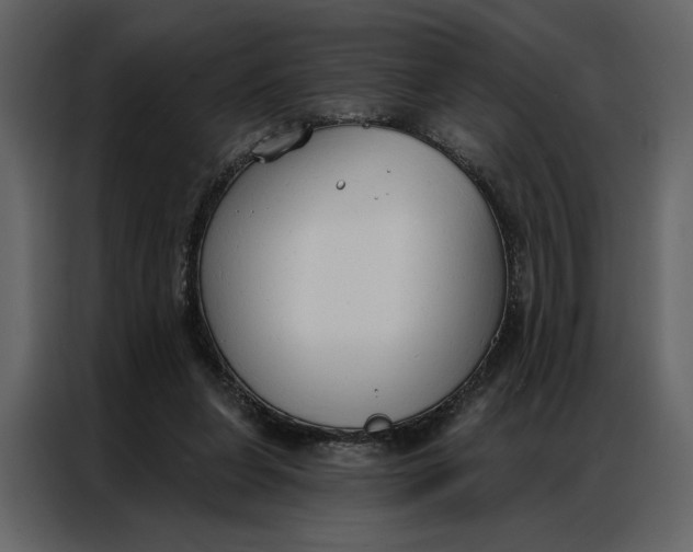 X0000086900255200705071249