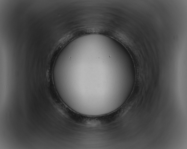 X0000086900258200705071249