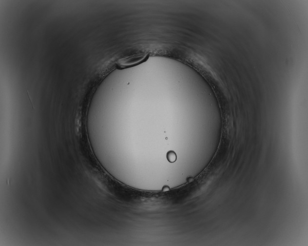 X0000086900259200705071249