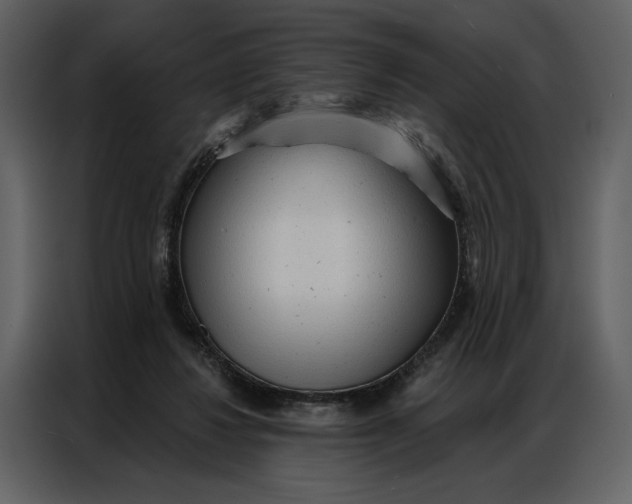 X0000086900260200705071249