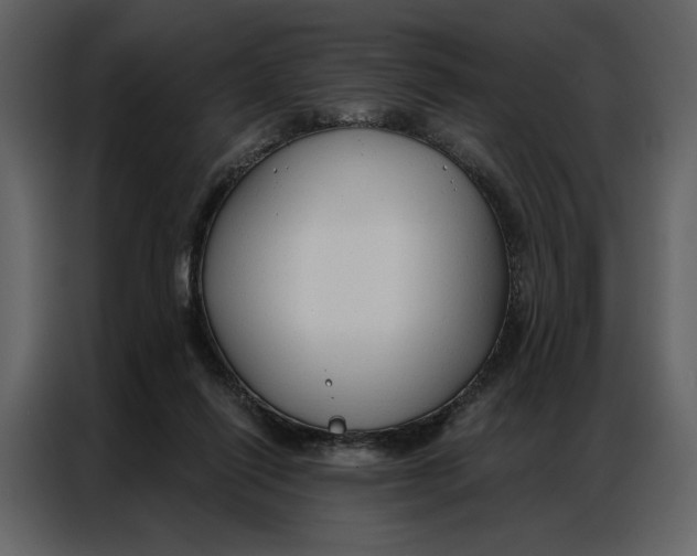 X0000086900262200705071249