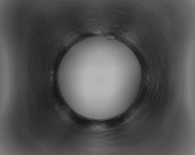 X0000086900263200705071249