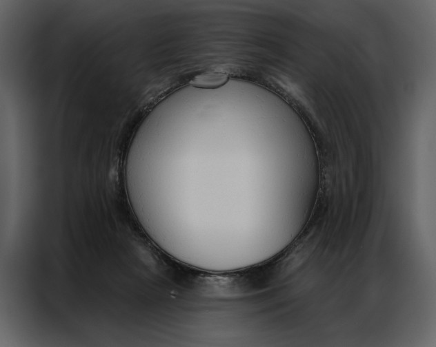 X0000086900265200705071249