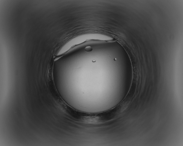 X0000086900266200705071249