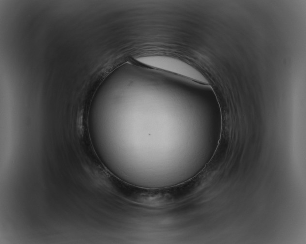 X0000086900267200705071249