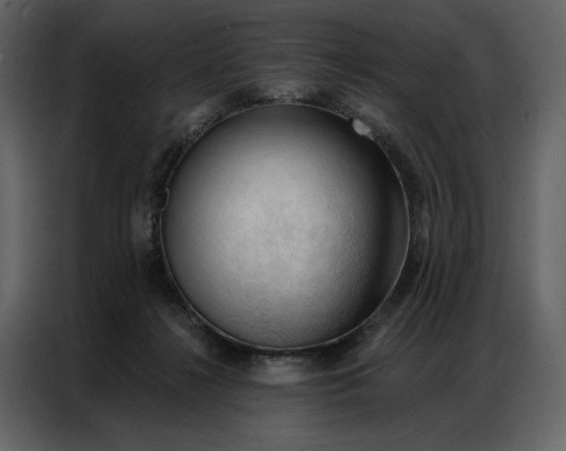 X0000086900268200705071249