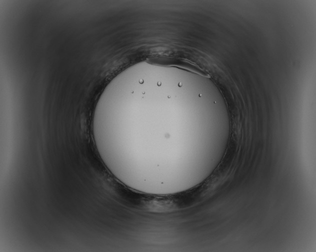 X0000086900270200705071249