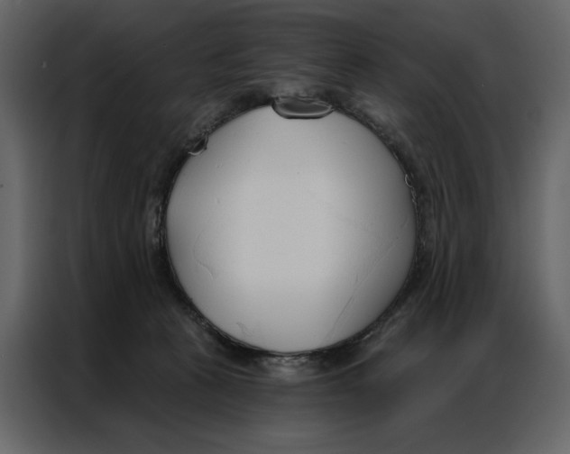 X0000086900273200705071249