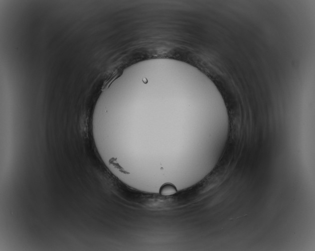 X0000086900274200705071249