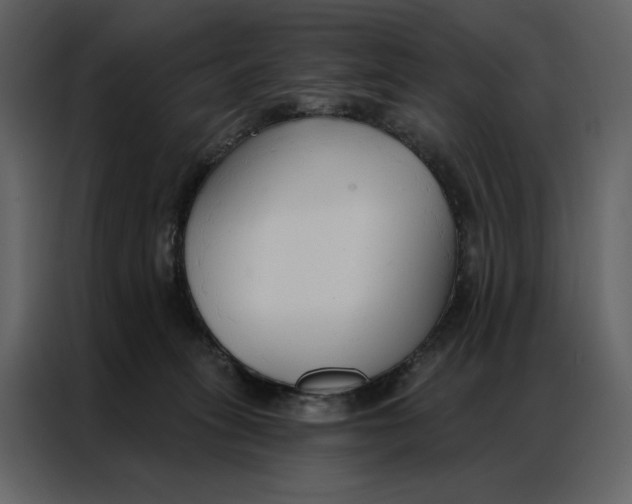 X0000086900275200705071249