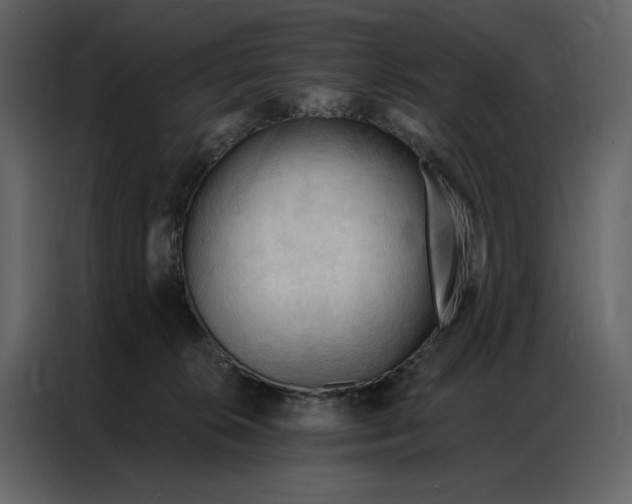 X0000086900276200705071249