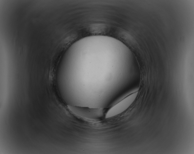 X0000086900277200705071249