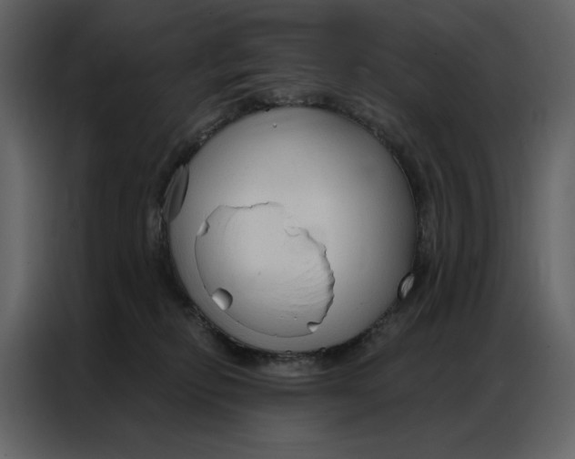 X0000086900278200705071249