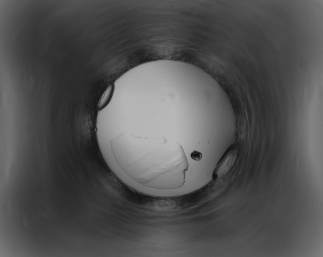 X0000086900279200705071249