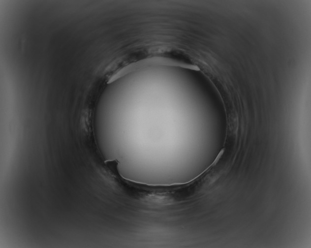 X0000086900280200705071249