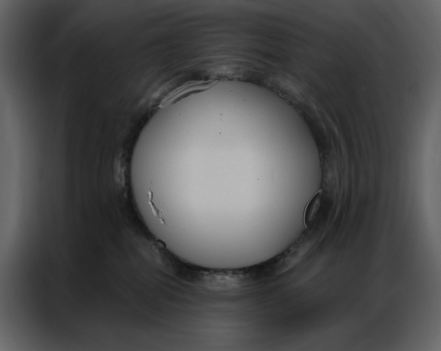 X0000086900282200705071249