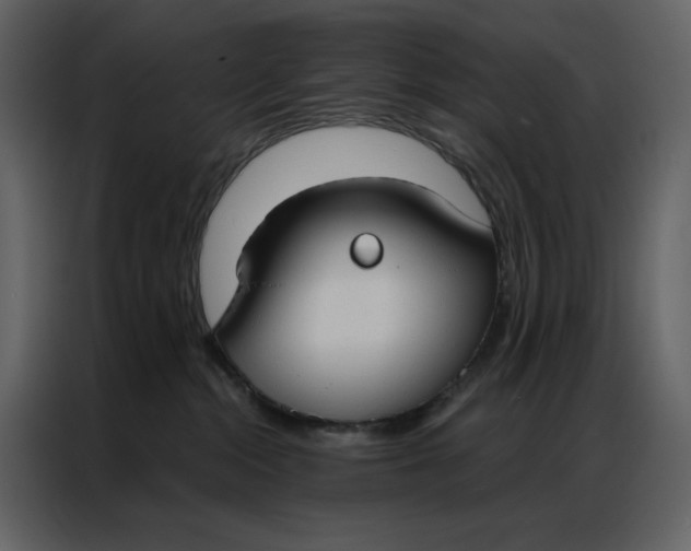 X0000086900284200705071250