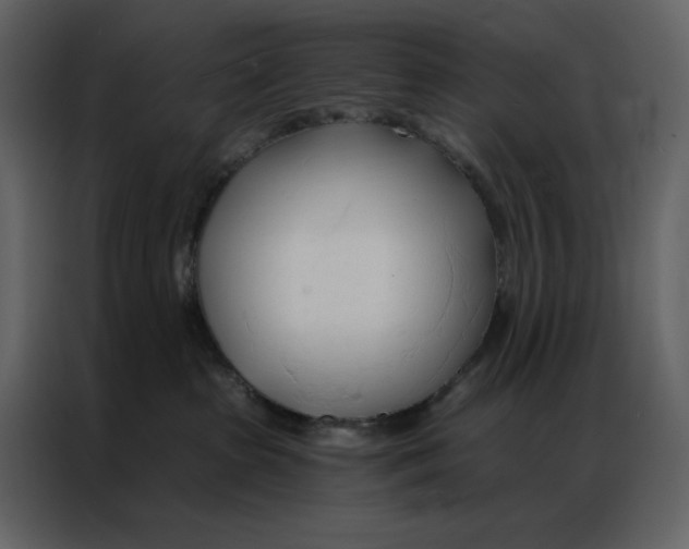 X0000086900285200705071250