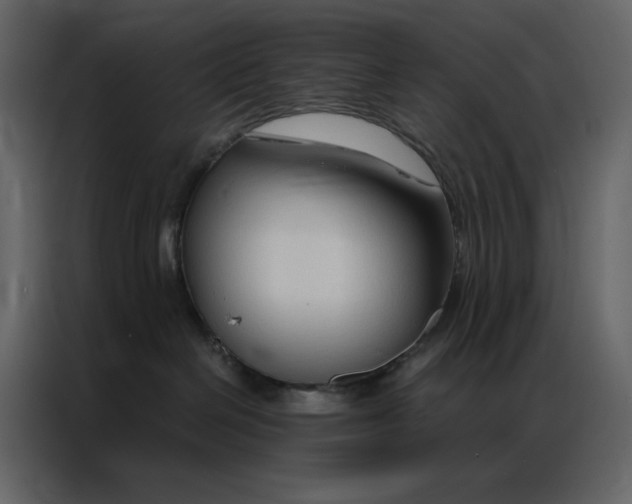 X0000086900286200705071250