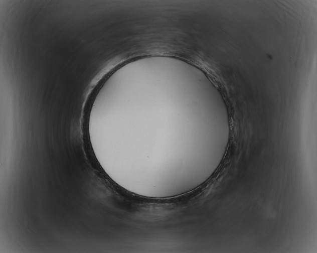 X0000086900292200705071249