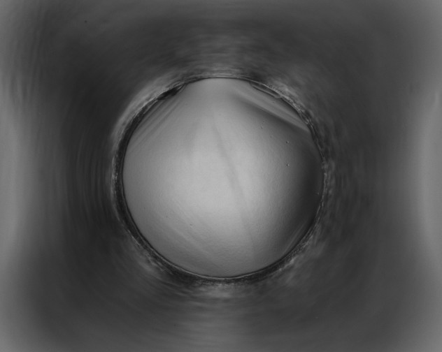 X0000086900293200705071249