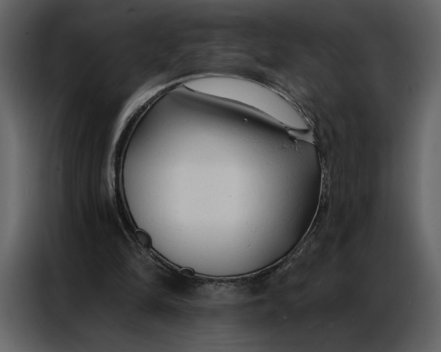 X0000086900294200705071249