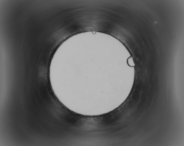 X0000086900297200705071249