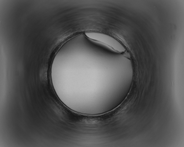 X0000086900299200705071249