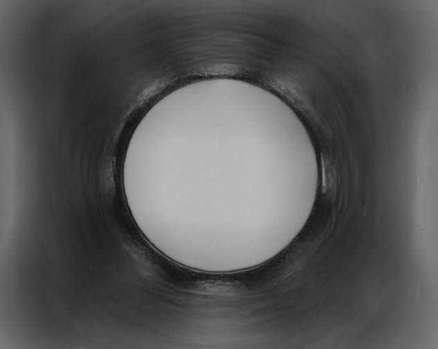 X0000086900300200705071249