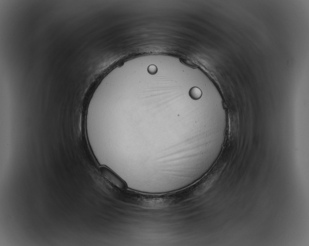 X0000086900301200705071249