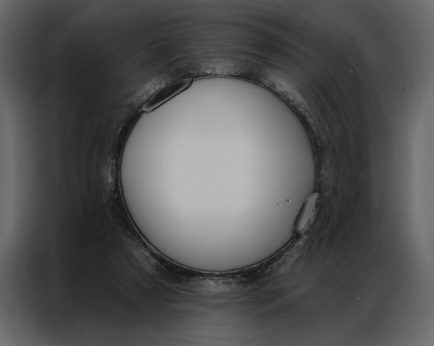 X0000086900305200705071249