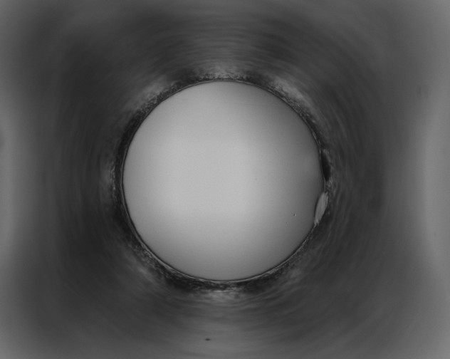 X0000086900306200705071249