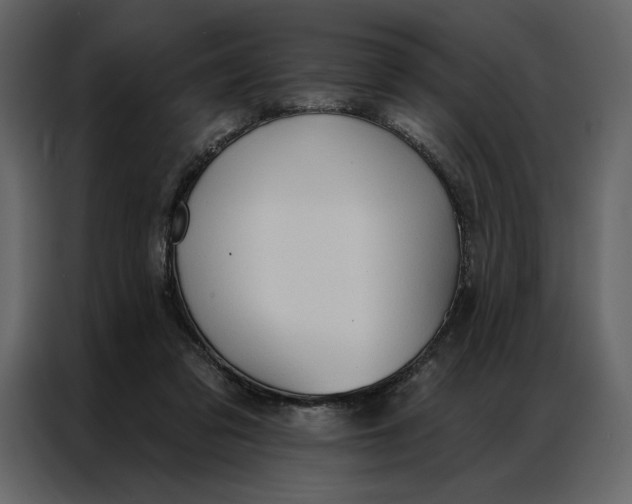 X0000086900309200705071249